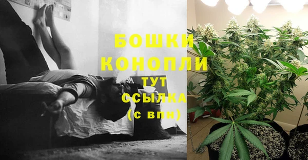 каннабис Белокуриха