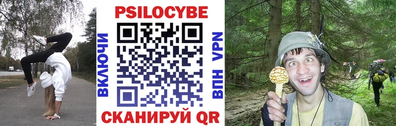 Галлюциногенные грибы Psilocybe  это официальный сайт  Макаров 